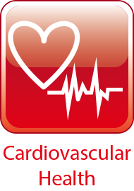 cardiovascular-health.jpg